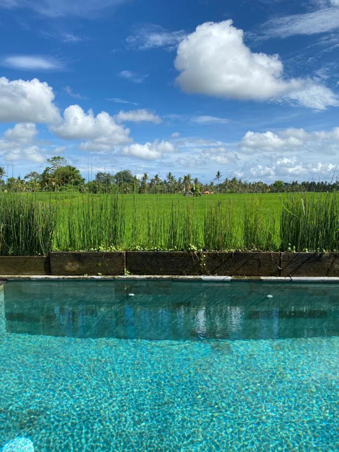 Casa Avana อูบุด ภายนอก รูปภาพ