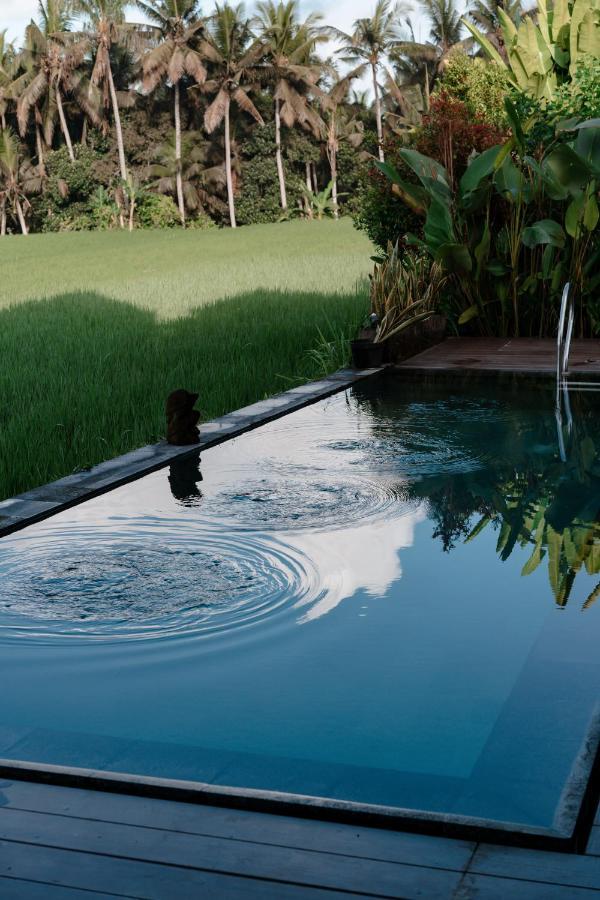Casa Avana อูบุด ภายนอก รูปภาพ
